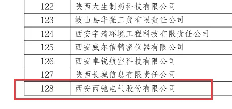 喜讯|新澳门全年免费原料网荣获国家级专精特新“小巨人”企业(图2)